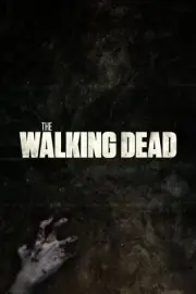 The Walking Dead TWD TV Series Maggie Rick Negan Michonne Carl Carol Daryl FAST