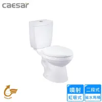 在飛比找momo購物網優惠-【CAESAR 凱撒衛浴】二段式省水馬桶/管距40(CF14