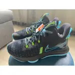 LBJ LEBRON WITNESS V EP 詹姆士 雷霸龍 NIKE CQ9381 004