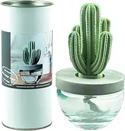 Reed Diffuser Set, Pretty Valley Home Gypsum Cactus Fragrance Diffuser-Cutting Grass 3.38 fl oz (100 ml), Home Fragrance Reed Diffuser for Bathroom Office Living Room Decor