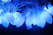 20 C7 Style LED Traditional Christmas lights, Fairy String Light, Holiday Party