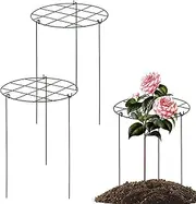 Indoor Plant Trellis,Stable Plant Climbing Support | Reusable Gardening Supplies for Potted Plants Planter Propagation Flower Raised Vegetables Fruit Roses