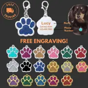 Custom Pet ID Name Tag - Personalized Dog & Cat Engraving, Anti-Lost Collar