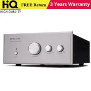 Silvery WS-01 HiFi Audio Power Amplifier High Power Passive Bass Power Amplifier