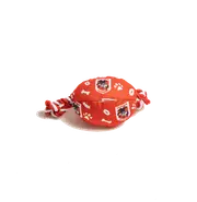 St George Illawarra Dragons NRL Footy Chew Toy