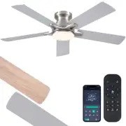 52" Outdoor Ceiling Fan with Lights and Remote/APP Control - Flush Mount, Dim...