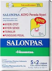 [Salonpas] Pain Relief Patch 100 Patch Value Box