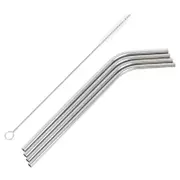 4pc Stainless Steel Straws & Cleaning Brush Set - 21cm