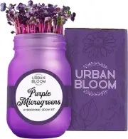 Hydroponic Herb Growing Kit - Purple Microgreens - Indoor Garden System