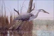 Ceramic Tile Mural Backsplash Binks Heron Wildlife Bird Lodge Art REB001