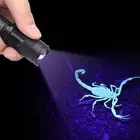 Led Uv Blacklight Flashlight Different Wavelengths For Home Hiking Camping