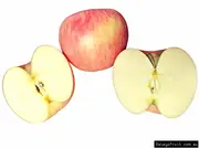 Buy Apple Red Fuji Grafted Fruit Tree in Australia Malus domestica