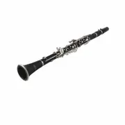 Axiom Prelude Beginner Clarinet Outfit with Box of Reeds