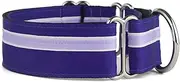 If It Barks - 1.5" Martingale Collar for Dogs - Adjustable - Nylon - Strong and Comfy - Ideal for Training - Made in USA - Medium, Grape Crush