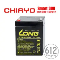 在飛比找蝦皮購物優惠-【現貨】嘉友CHIAYO SMART 300 鉛酸電池 充電