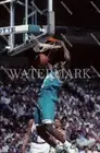 MG105 Larry Johnson Charlotte Hornets Dunk Basketball 8x10 11x14 16x20 Photo