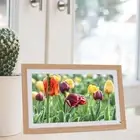 (Prise UE)15.6 Inch Digital Photo Frame Smart WIFI Touch Screen Photo Frame AU