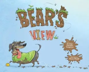 Bear’s View