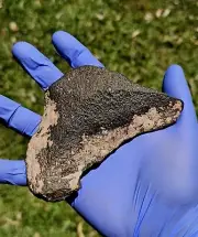 Meteorite**NWA Unc., CK Carbonaceous**337.70 gram Beautiful Shaped Individual