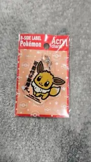 Pokemon Acryl Charm B-Side Label Japan Pokemon Center Exclusive EEVEE