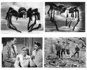 TARANTULA 1955 MOVIE PHOTO LOT #1 (4) JOHN AGAR SCI-FI CLASSIC