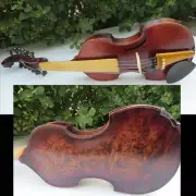 Baroque style SONG Master bird's eye maple 6×6 strings 15" Viola d'Amore #14507