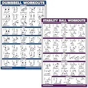 QuickFit Dumbbell Workouts and Exercise Ball Poster Set - Laminated 2 Chart Set - Dumbbell Exercise Routine & Stability/Yoga Ball Workouts