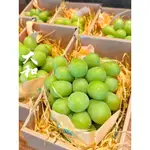 【大和水產】日本麝香葡萄 長野麝香葡萄 麝香葡萄 大果 禮盒裝