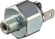 HELLA 6DF 007 669-001 Brake Light Switch - 12V - Number of connectors: 2 - Blade Terminal - Hydraulic - Thread Size: 1/8-27NPT - Lock
