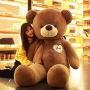 60/80/100/120/140cm Giant Teddy Bear Plush Toys Soft Teddy Bear Stuffed Doll Big Human Size Teddy Bear for Girls 5ft Popular Birthday Gifts for Kid...
