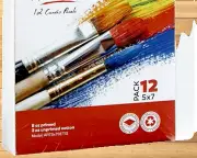 Artlicious Canvas Panels 48 Pack - 5"X7" Super Value Pack- Artist Canvas Boards