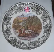 Queen's Quintessential Game MALLARD DUCK 8" Coupe Soup Bowl - NEW