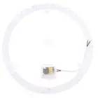 LED Ring PANEL Circle Light 36W 24W 18W 12W Cold White AC220V-240V