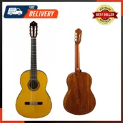 CG-TA Nylon String Transacoustic Guitar with Chorus and Reverb Classical Vintage