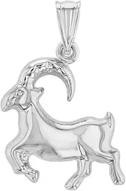 [Jewelry America] High Polish 14k White Gold 3D Capricorn Zodiac Sign Charm Sea-Goat Animal Pendant