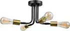 4-Light Adjustable Socket Semi-Flush Mount Ceiling Light Matte Black Brass E26 P