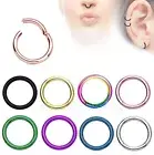 2pcs. 20G 3/8" Hinged Seamless Segment Ring Nose Hoop Ring Labret Septum Clicker