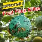 Fly Ball Traps Insects Fruit Flies Trap Reusable Hanging Fruit Fly Trap Ball ;◇