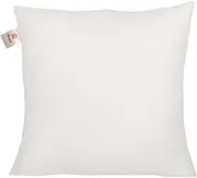 Home-The Best is For You Microfiber Cushions Insert (White, 50x50 cm)