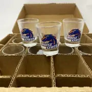 Boise State University Broncos Buster Clear Shot Glasses Lot/Bundle of 10 NCAA