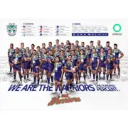 2024 NRL ONE NZ WARRIORS rugby TEAM PLAYER POSTER,BARGAIN,3