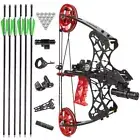 36lbs 18" Mini Compound Bow Dual-use Steel Ball Arrows Set Archery Hunting