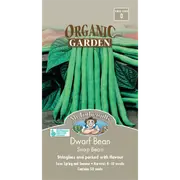Mr Fothergill's Snap Bean Dwarf Bean Organic Seeds