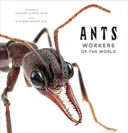 Ants:Workers of the World