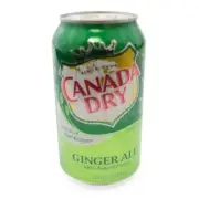 Canada Dry Can Diversion Safe Secret Hidden Storage Container