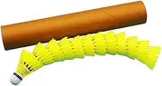 Generico Backyard Badminton Set, Indoor Badminton Set | 12 Piece Nylon Badminton Equipment - Shuttlecock, Highly Stable School Physical Education Sports Supplies