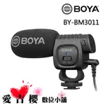 BOYA 博雅 BY-BM3011 麥克風 專業級 機頂 麥克風 防震 錄音 降噪 超心型 指向性 手機 立福公司貨