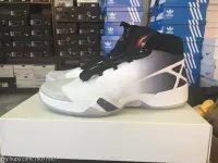 在飛比找Yahoo!奇摩拍賣優惠-Air Jordan XXX White Wolf AJ30