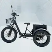 Kristall EX200 Adult Electric Bike Tricycle Trike 3 Wheelers Bike EBike & Basket