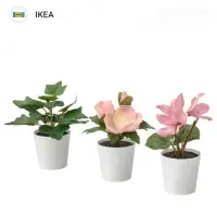 在飛比找蝦皮購物優惠-IKEA代購 FEJKA 人造盆栽 3件組 室內/户外用 可